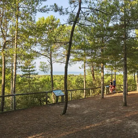 Studio Saint-jean-de-monts, 1 Piece, 3 Personnes - Fr-1-323-272 Apartman Saint-Jean-de-Monts